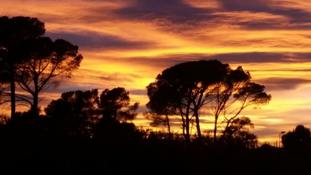 Un Petit Coin De Paradis Taradeau Exterior foto